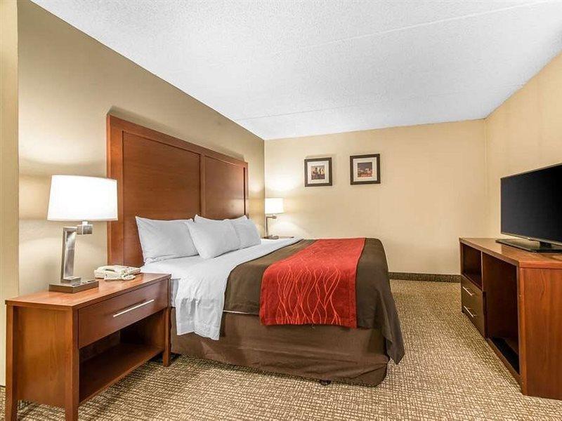 Comfort Inn & Suites DEN Exterior foto